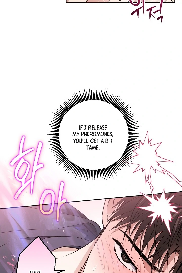  Chapter 26 page 55 - 