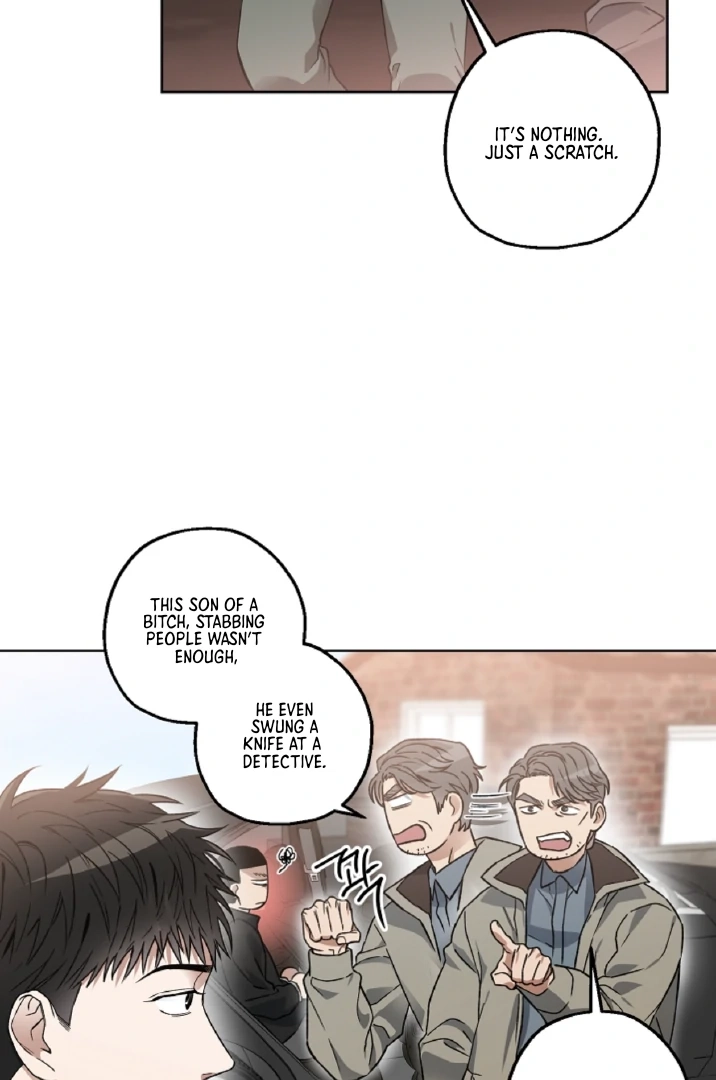  Chapter 3 page 43 - 