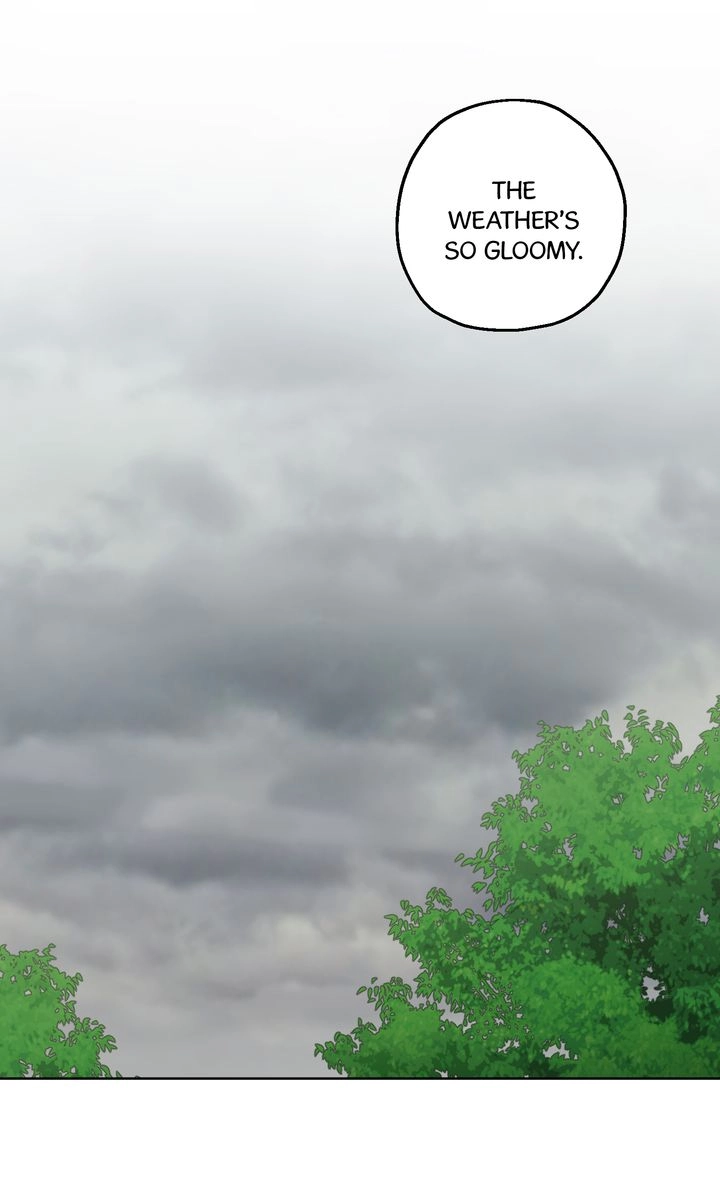  Chapter 5 page 16 - 