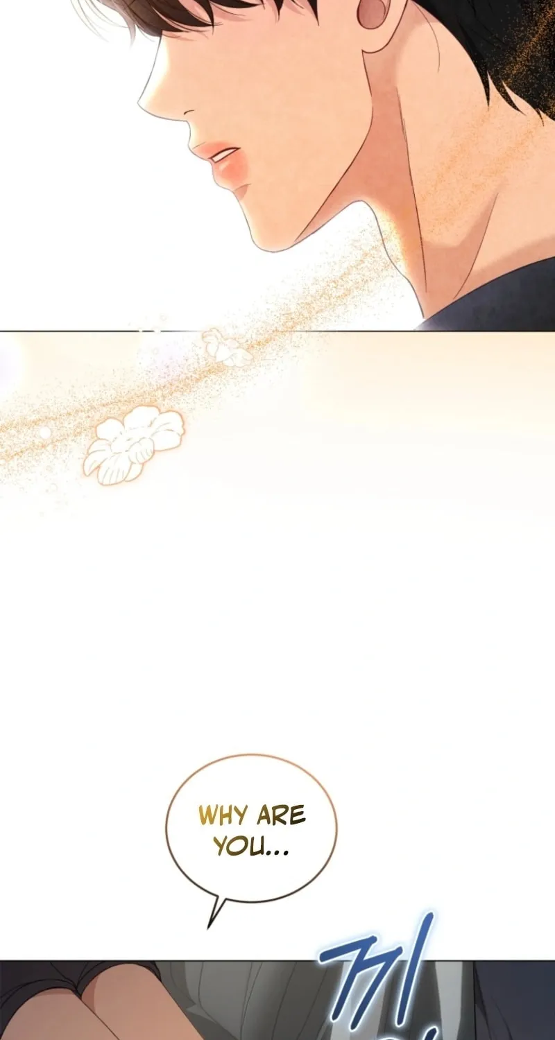 Deleting My Ex-Husband Chapter 11 page 102 - 