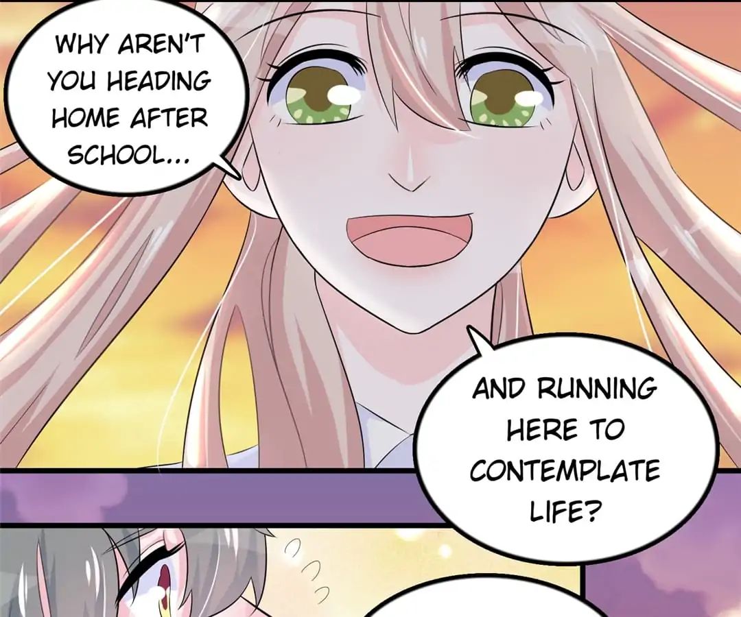 Delicate and Meek, Me? Chapter 19 page 27 - 