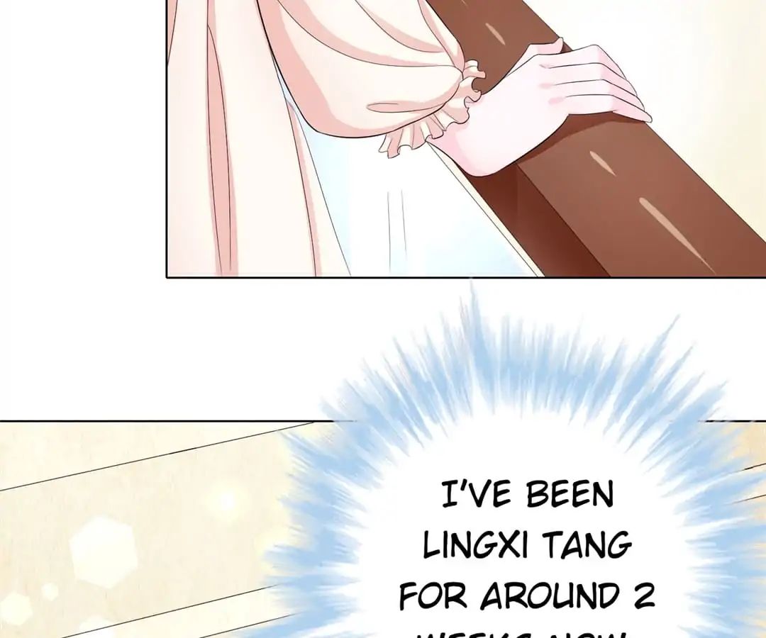 Delicate and Meek, Me? Chapter 2 page 5 - 