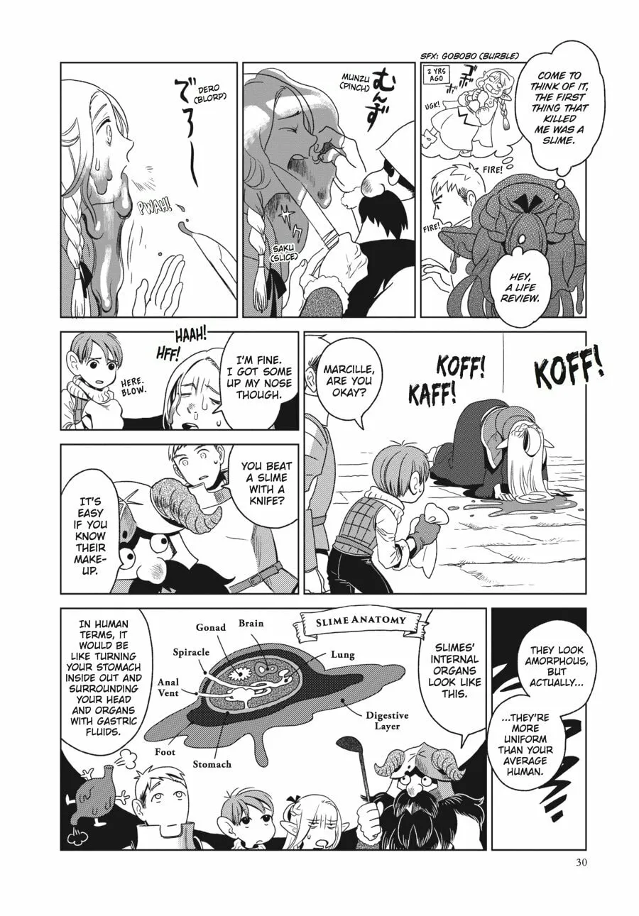 Delicious in Dungeon Chapter 1 page 26 - 