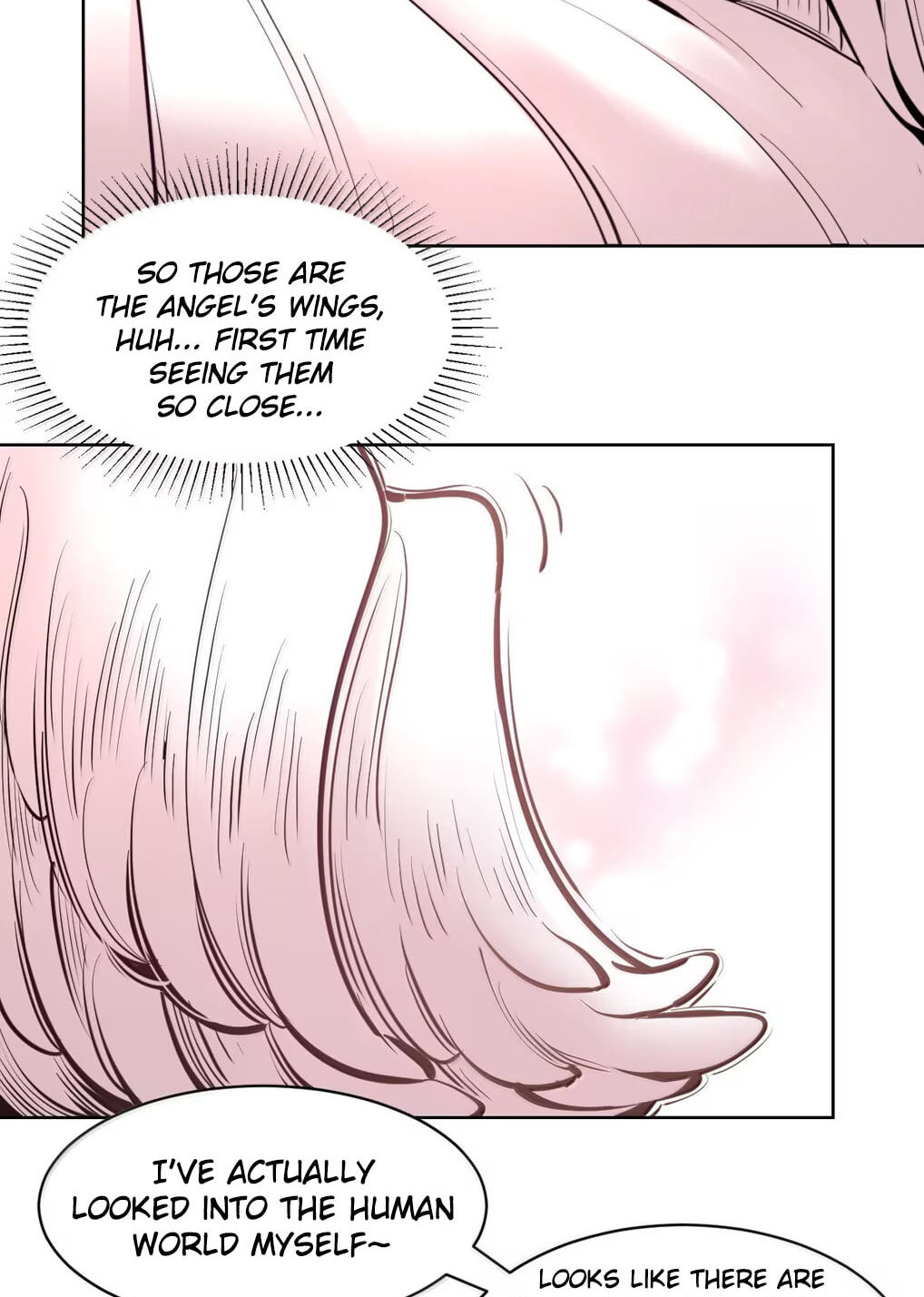 Demon X Angel Can