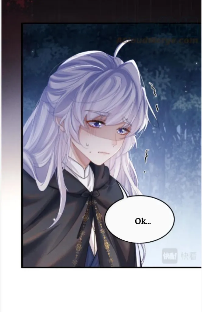 Demon’s Pleas And Prince’s Tears Chapter 20 page 29 - 
