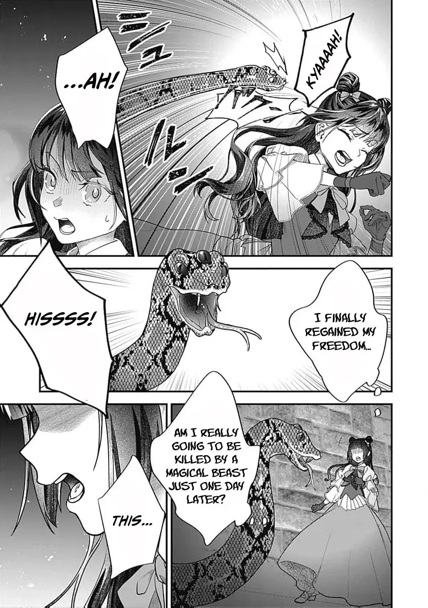 Denka, Chotto Hitokoto Yoroshidesu Ka? Munona Akujoda to Nonoshirarete Konyaku Haki Sare Sodesuga, Sono Mae Ni Anata No Akuji Wo Abakasete Itadakimasu Ne! Chapter 3 page 24 - 