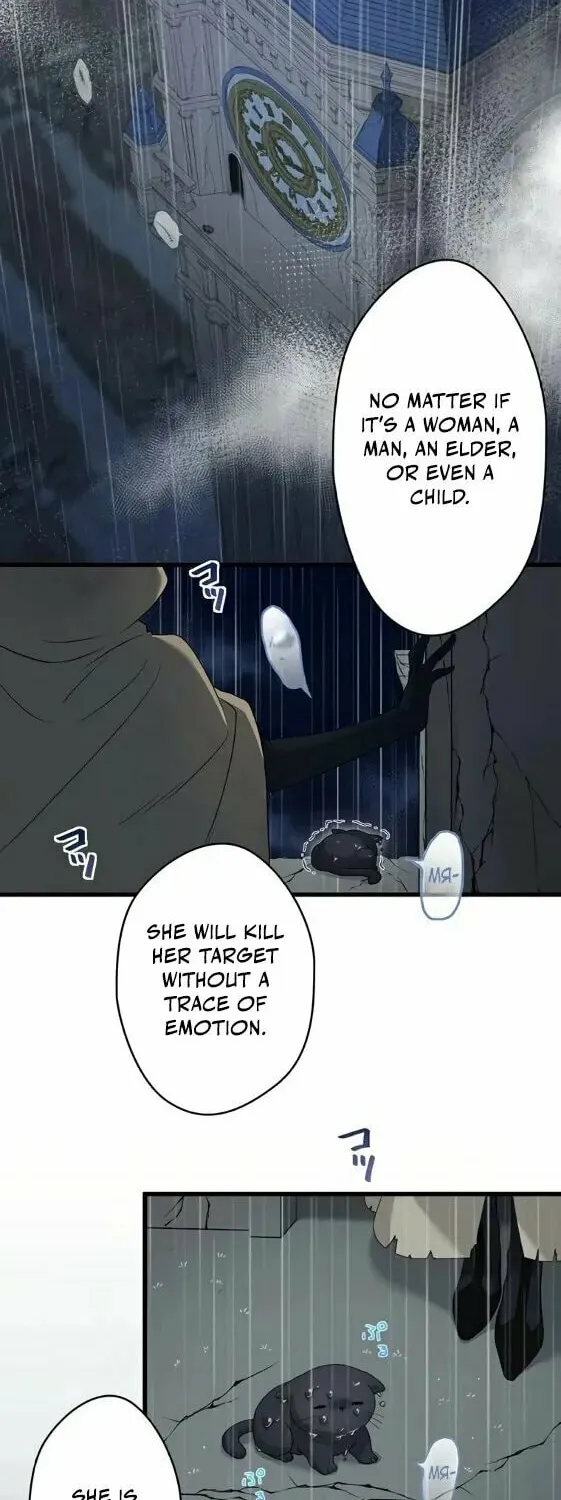Densetsu no Ansatsusha, Tensei Shitara Ouke no Aisare Suemusume ni Natte Shimaimashite Chapter 1 page 25 - 