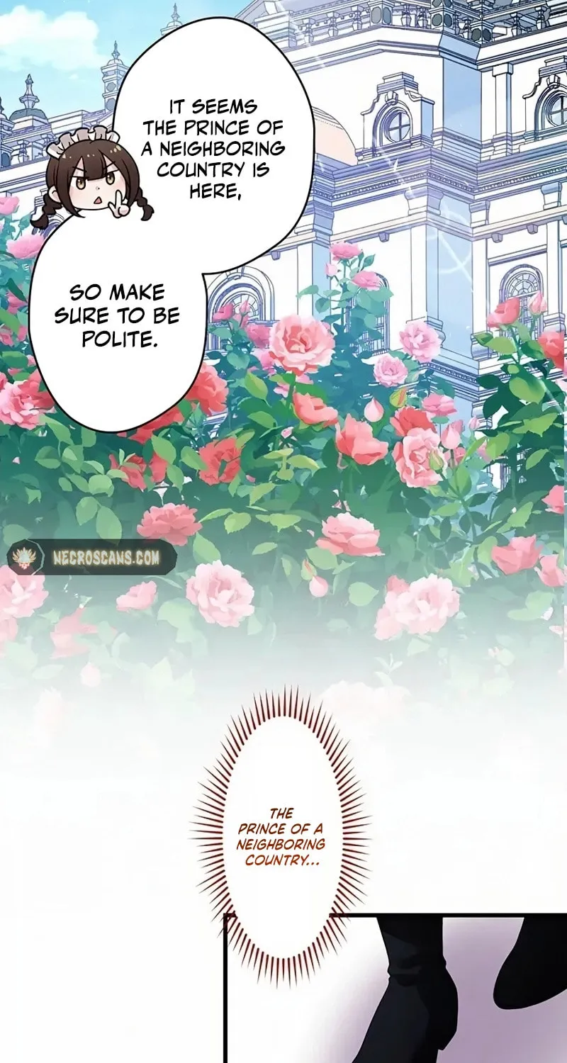 Densetsu no Ansatsusha, Tensei Shitara Ouke no Aisare Suemusume ni Natte Shimaimashite Chapter 13 page 4 - 