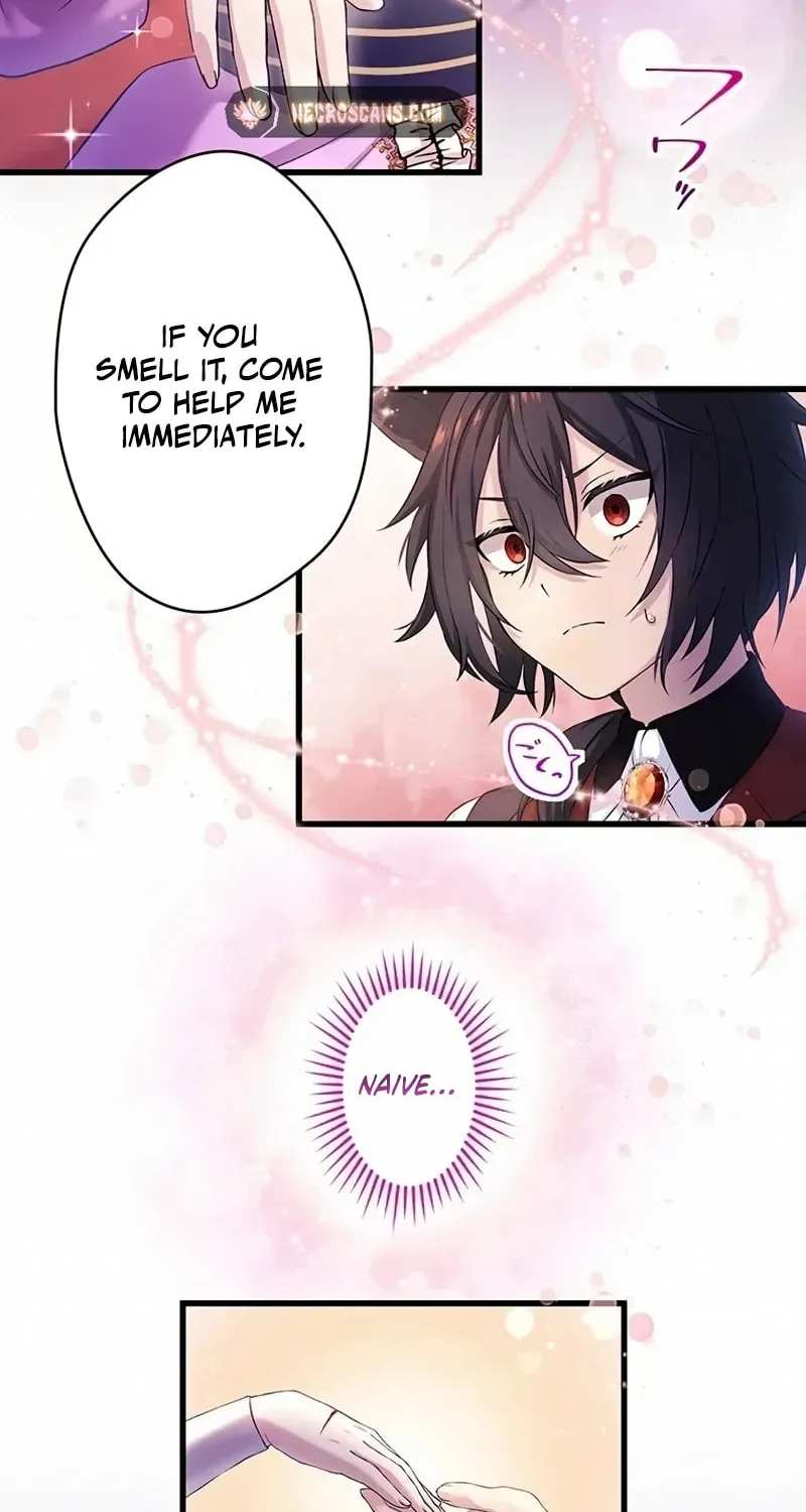 Densetsu no Ansatsusha, Tensei Shitara Ouke no Aisare Suemusume ni Natte Shimaimashite Chapter 13 page 37 - 