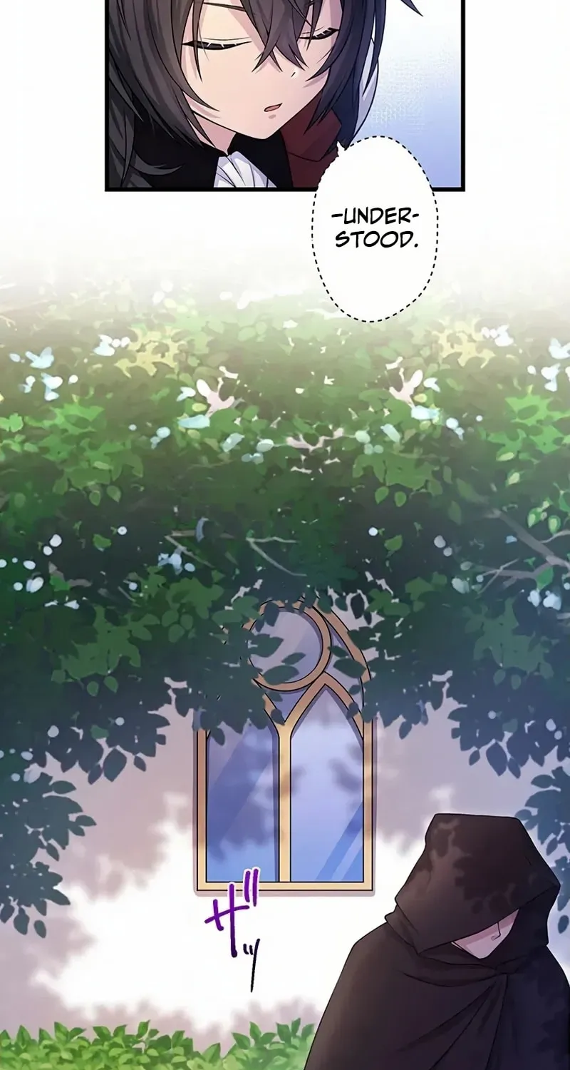Densetsu no Ansatsusha, Tensei Shitara Ouke no Aisare Suemusume ni Natte Shimaimashite Chapter 14 page 11 - 