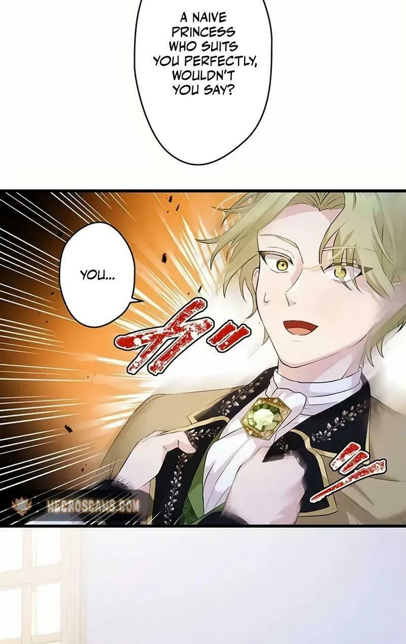 Densetsu no Ansatsusha, Tensei Shitara Ouke no Aisare Suemusume ni Natte Shimaimashite Chapter 15 page 12 - 