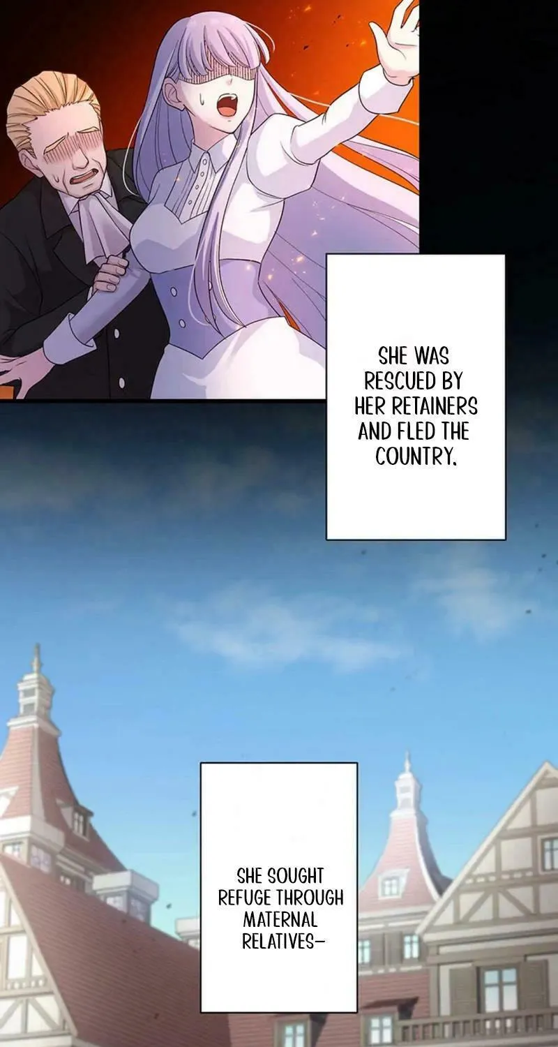 Densetsu no Ansatsusha, Tensei Shitara Ouke no Aisare Suemusume ni Natte Shimaimashite Chapter 50 page 27 - 