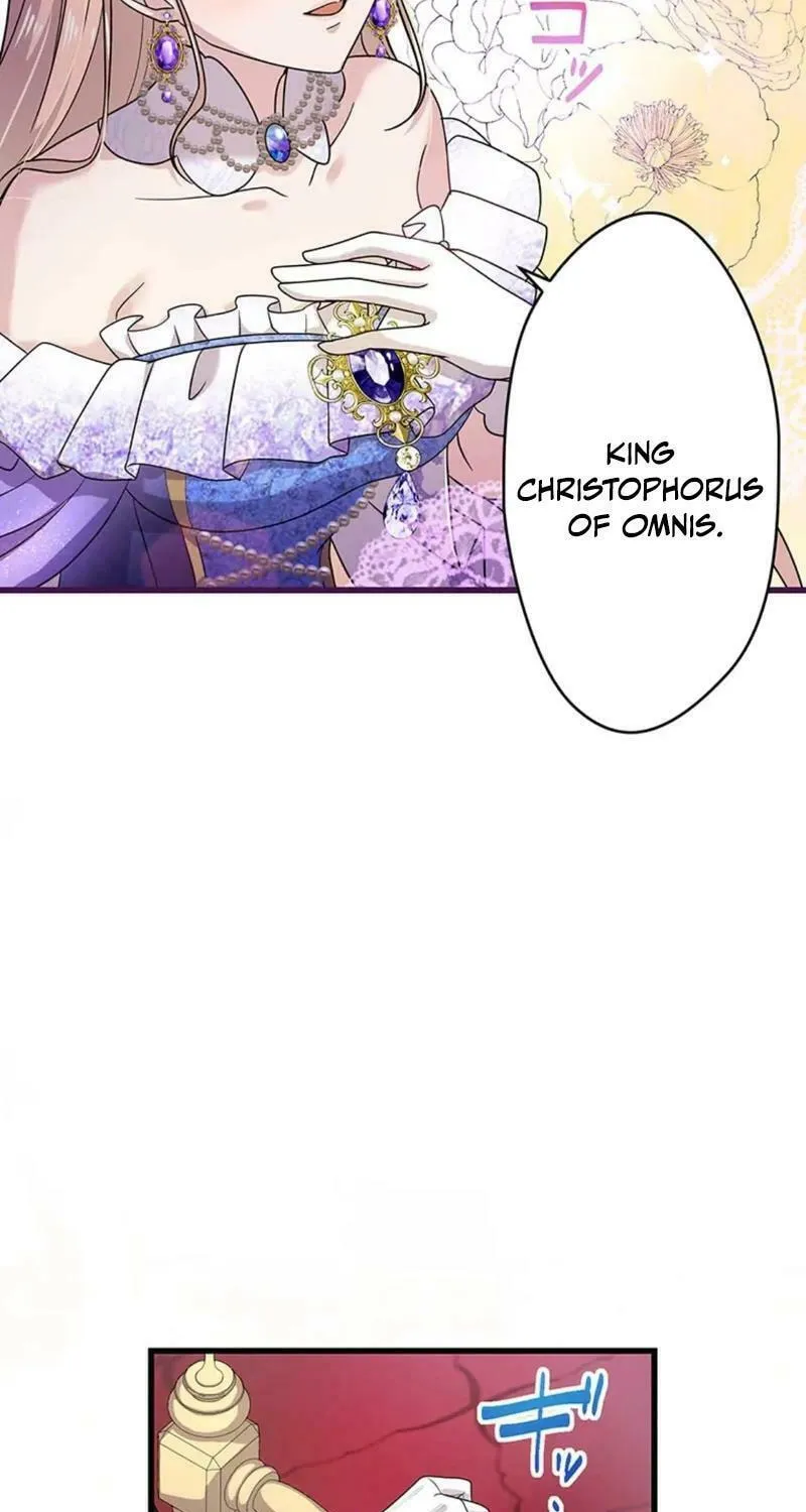 Densetsu no Ansatsusha, Tensei Shitara Ouke no Aisare Suemusume ni Natte Shimaimashite Chapter 54 page 33 - 