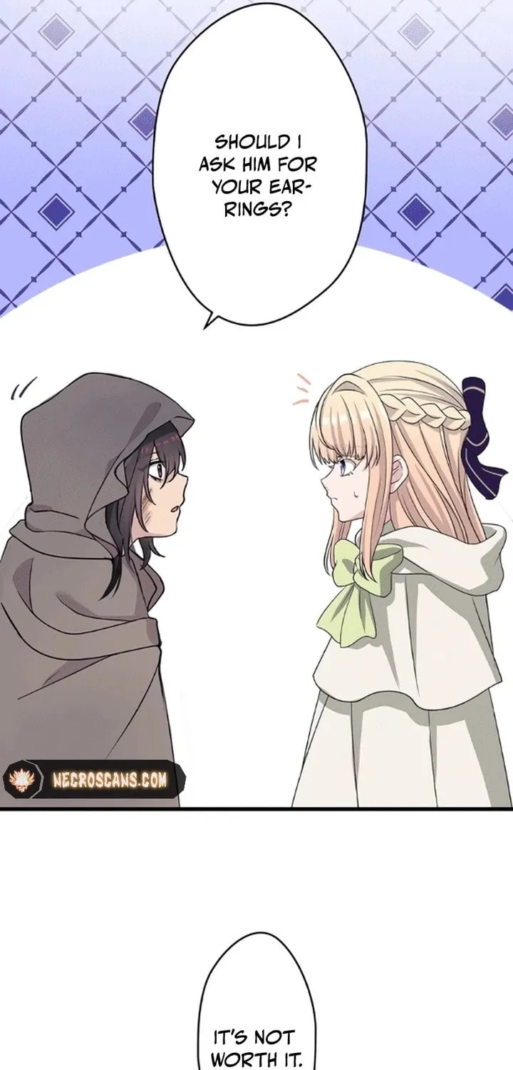 Densetsu no Ansatsusha, Tensei Shitara Ouke no Aisare Suemusume ni Natte Shimaimashite Chapter 6 page 41 - 