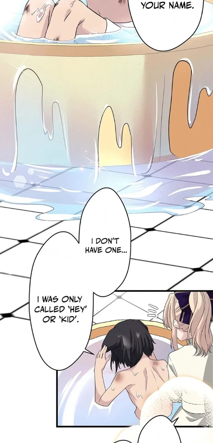 Densetsu no Ansatsusha, Tensei Shitara Ouke no Aisare Suemusume ni Natte Shimaimashite Chapter 7 page 20 - 