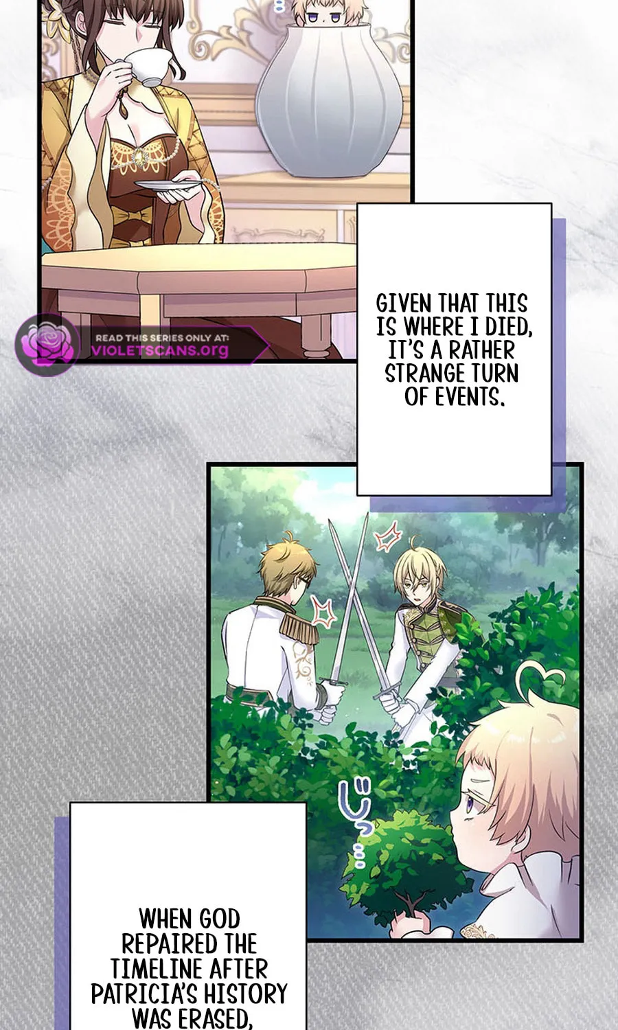 Densetsu no Ansatsusha, Tensei Shitara Ouke no Aisare Suemusume ni Natte Shimaimashite Chapter 70 page 28 - 