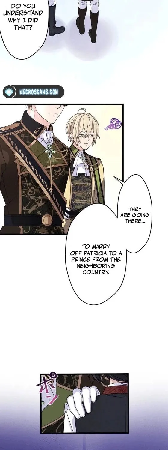 Densetsu no Ansatsusha, Tensei Shitara Ouke no Aisare Suemusume ni Natte Shimaimashite Chapter 8 page 24 - 
