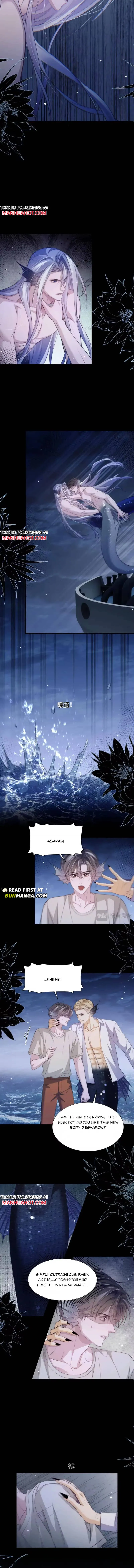 Desharow Mermaid Chapter 147 page 2 - 