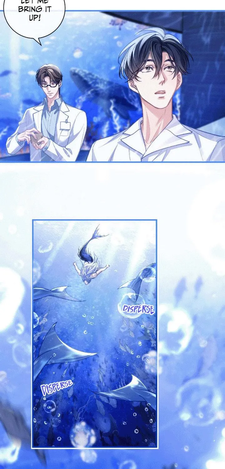 Desharow Merman Chapter 9 page 52 - 