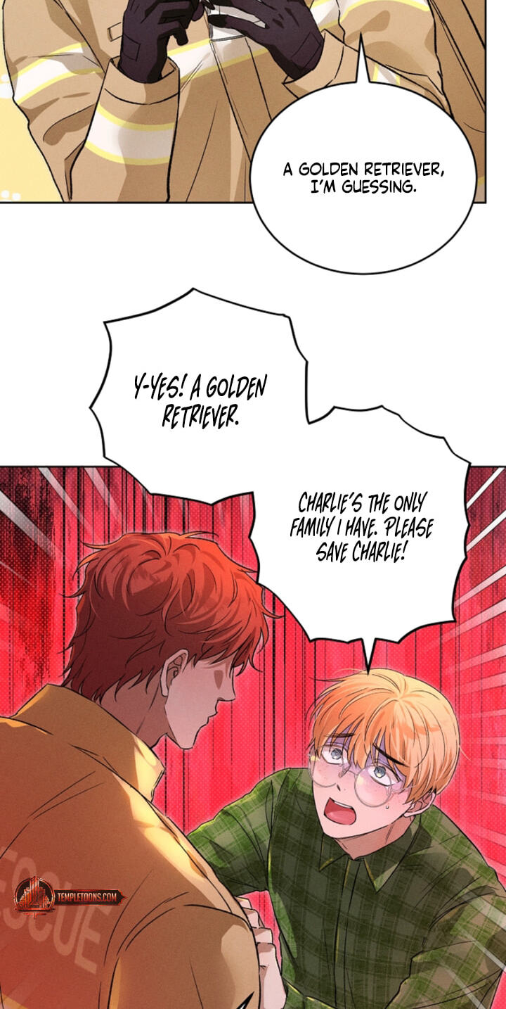 Desire Me if You Can Chapter 13 page 13 - 