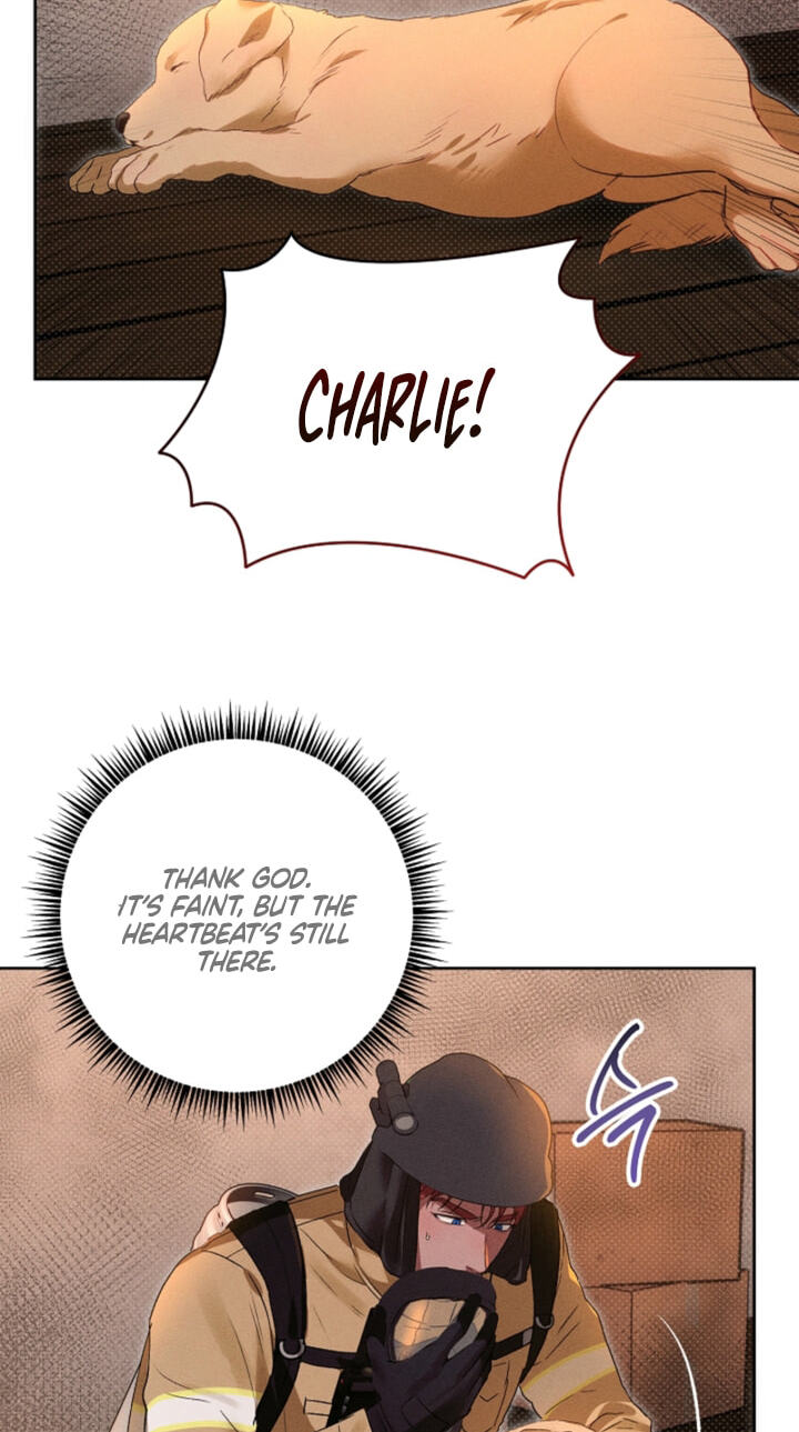 Desire Me if You Can Chapter 13 page 52 - 