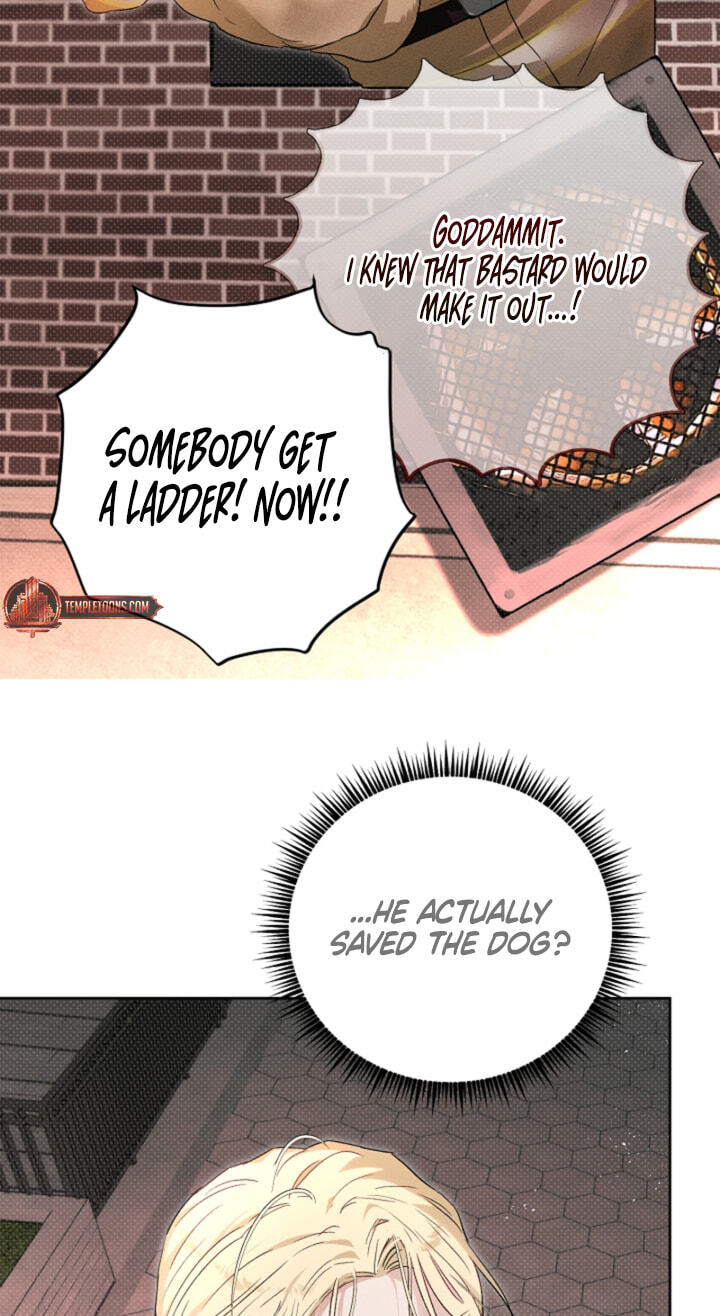 Desire Me if You Can Chapter 13 page 71 - 