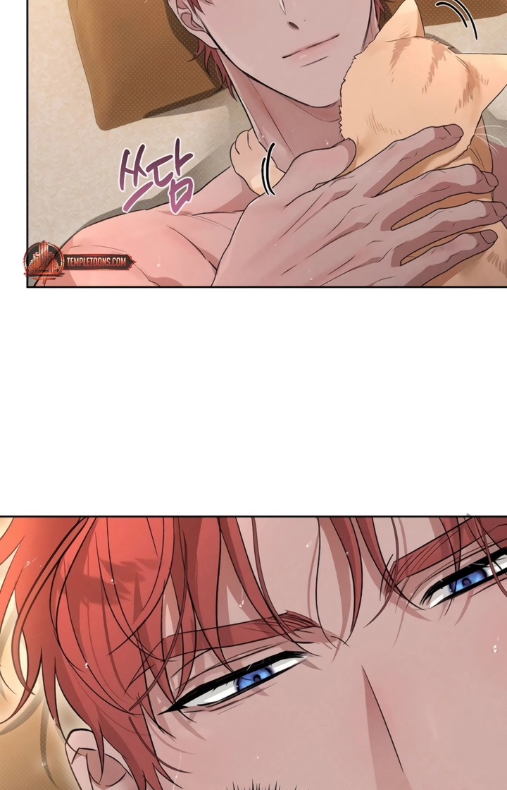 Desire Me if You Can Chapter 6 page 70 - 
