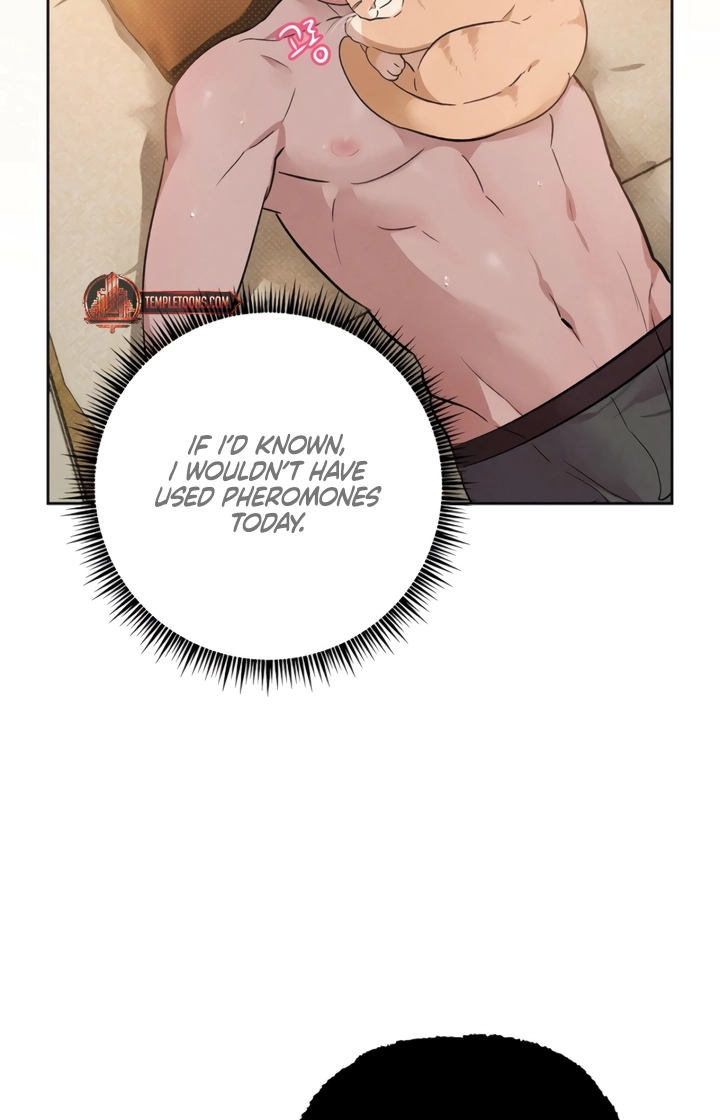 Desire Me if You Can Chapter 6 page 74 - 