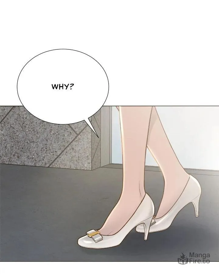 Despite the Risk Chapter 1 page 29 - 