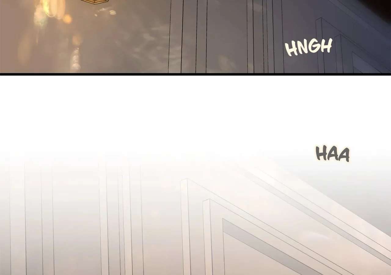 Despite the Risk Chapter 16 page 24 - 