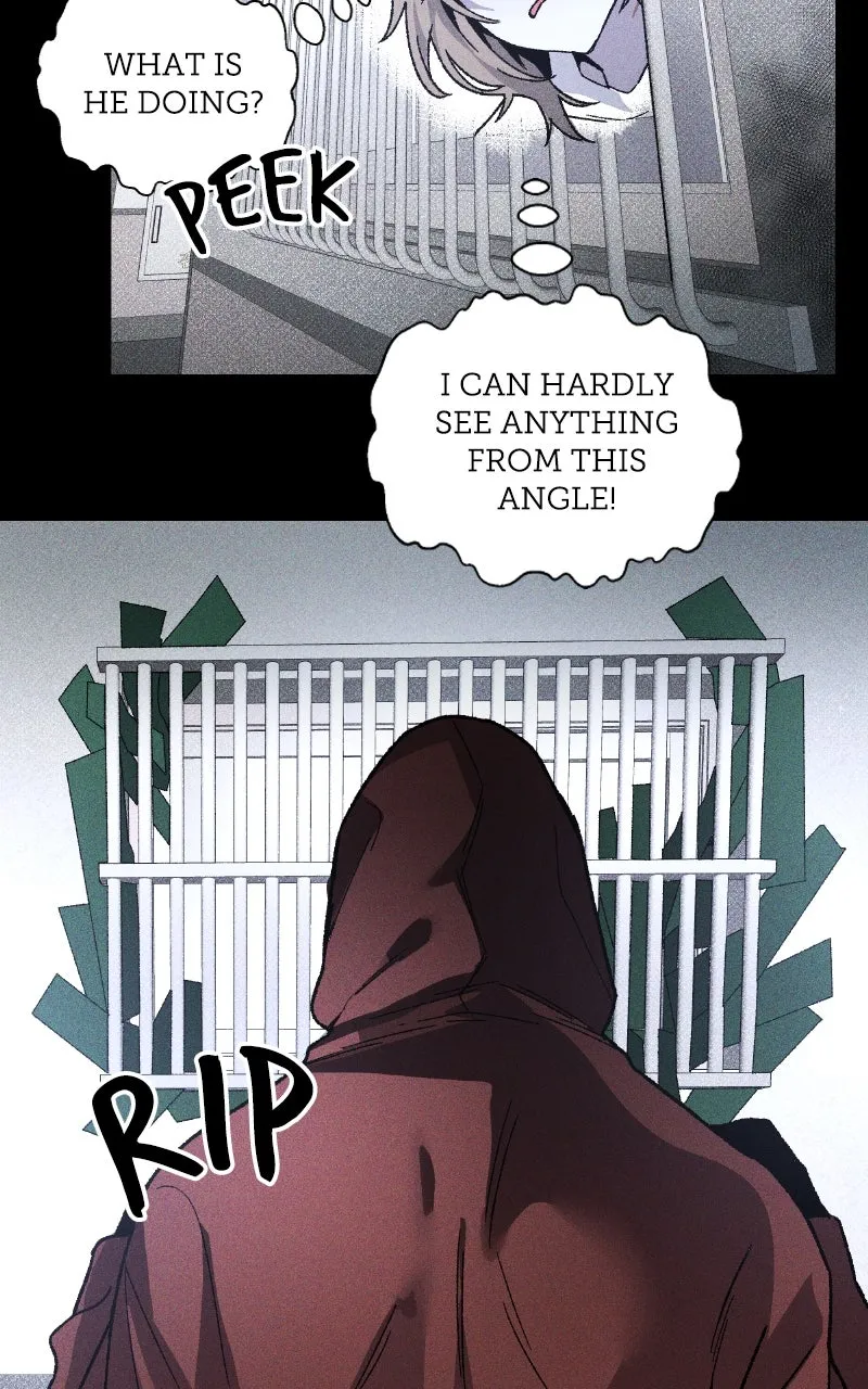 Destined Killer Chapter 12 page 62 - 