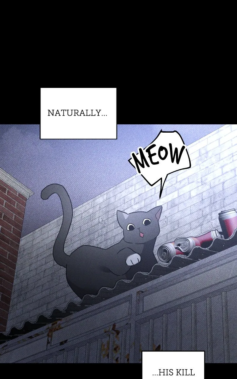 Destined Killer Chapter 19 page 95 - 