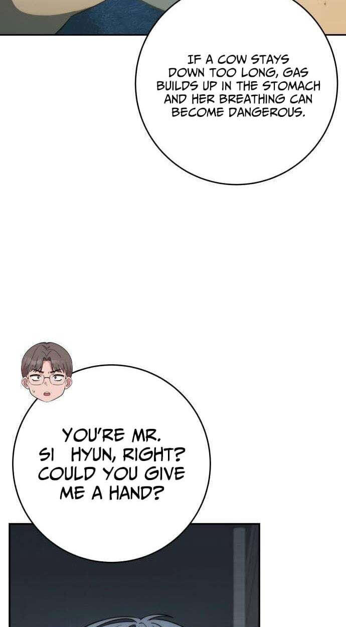 Deubeulli-wa Healinghamnida Chapter 14 page 17 - 