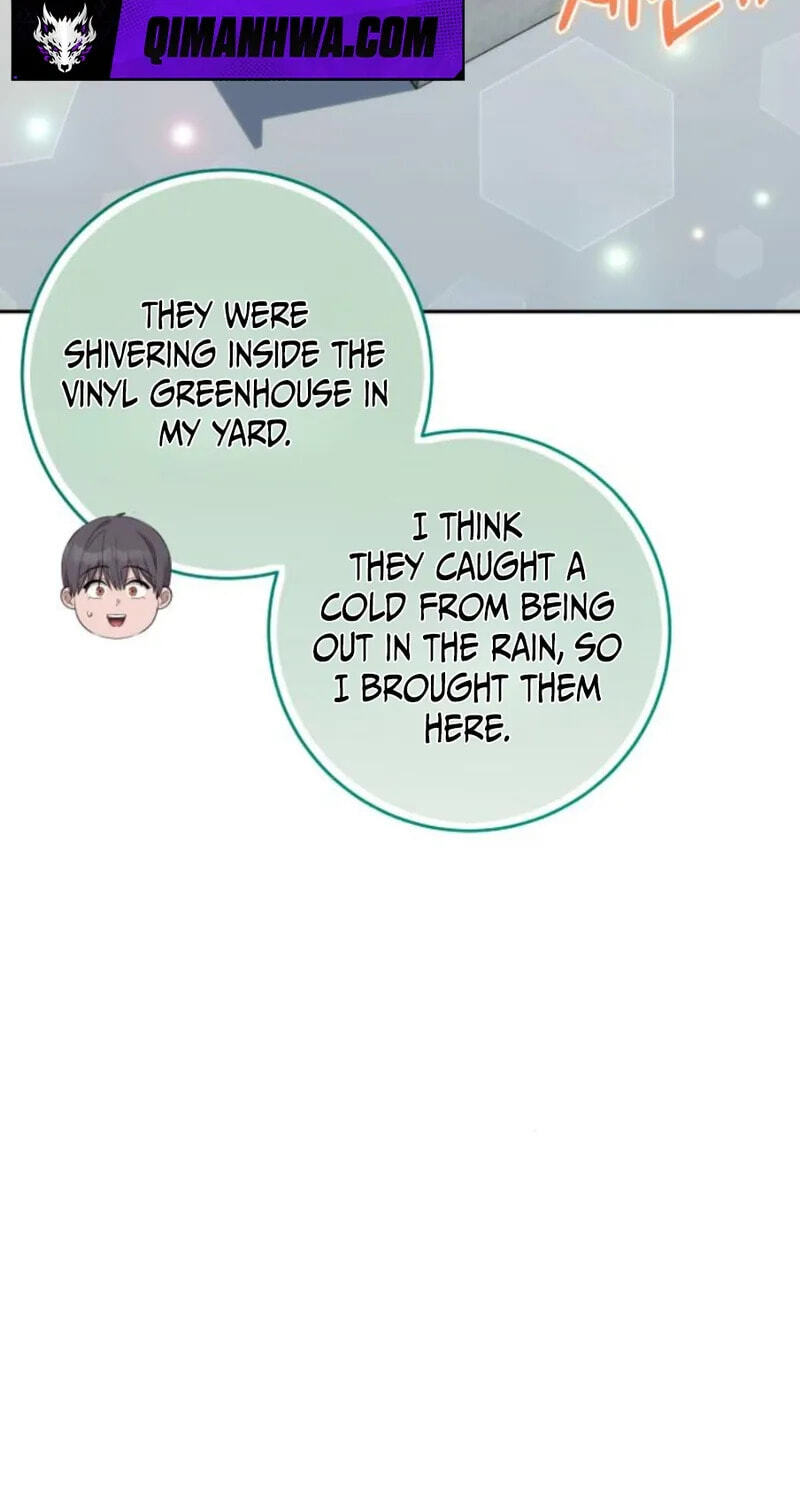 Deubeulli-wa Healinghamnida Chapter 15 page 28 - 