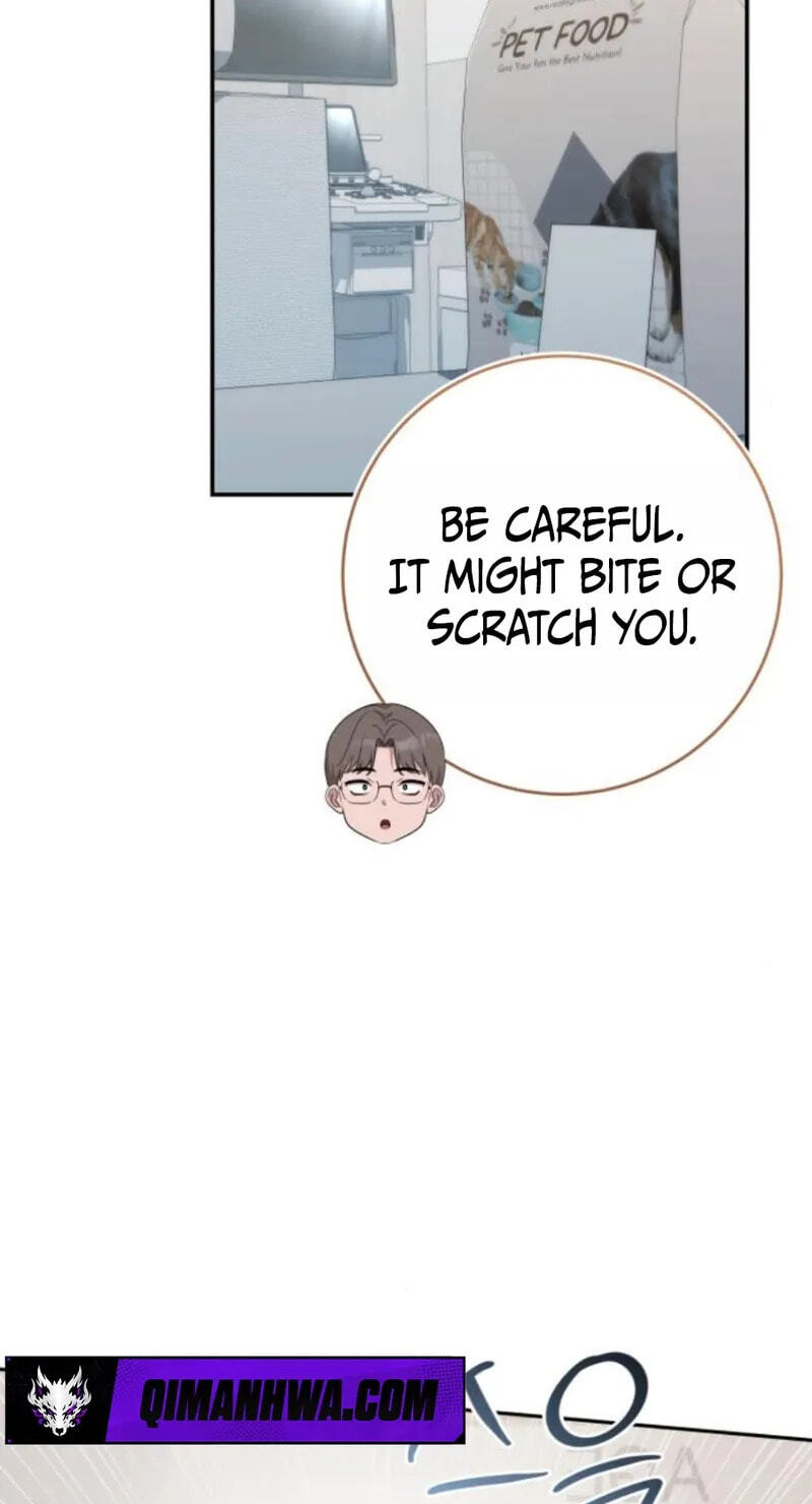 Deubeulli-wa Healinghamnida Chapter 15 page 67 - 