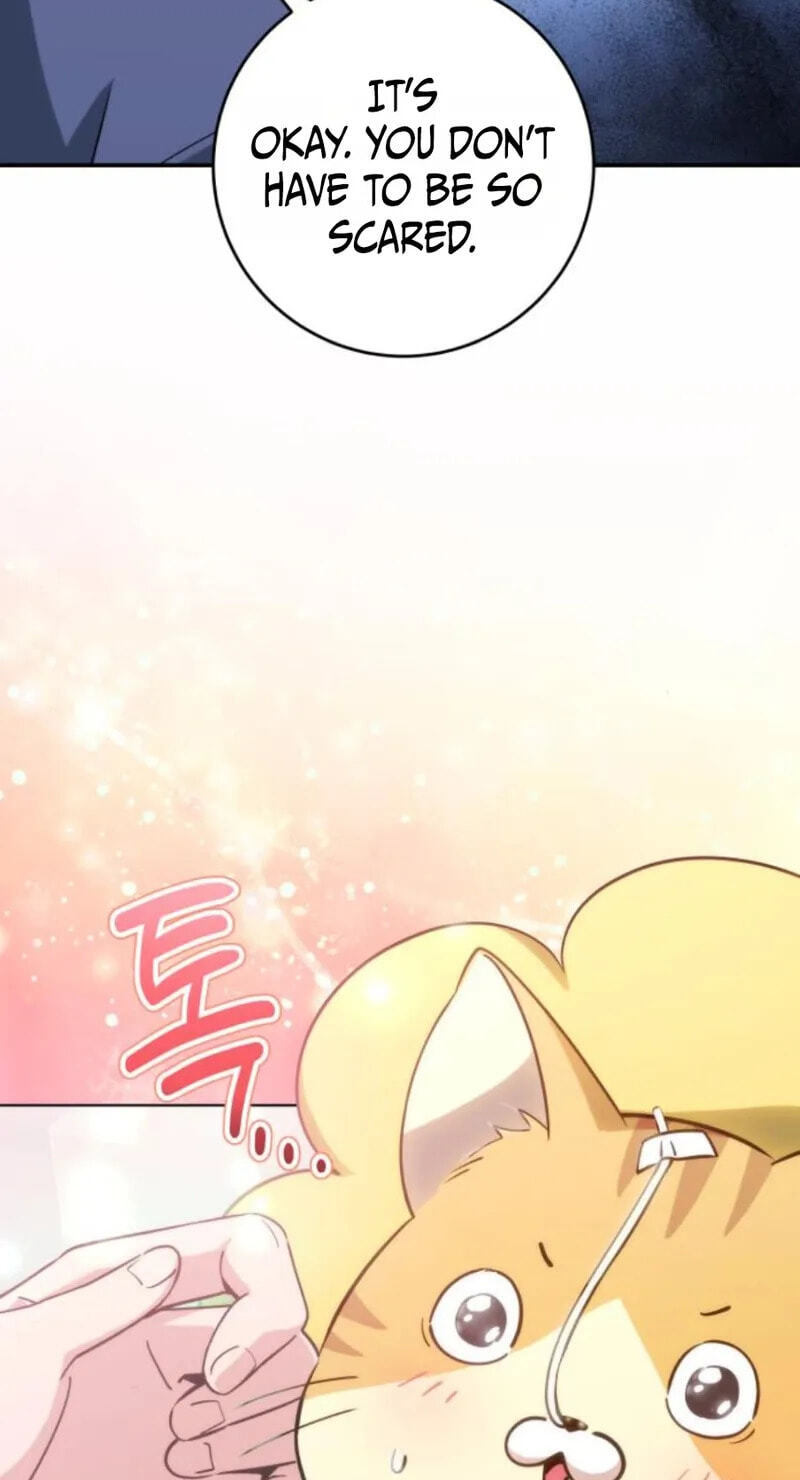 Deubeulli-wa Healinghamnida Chapter 15 page 70 - 