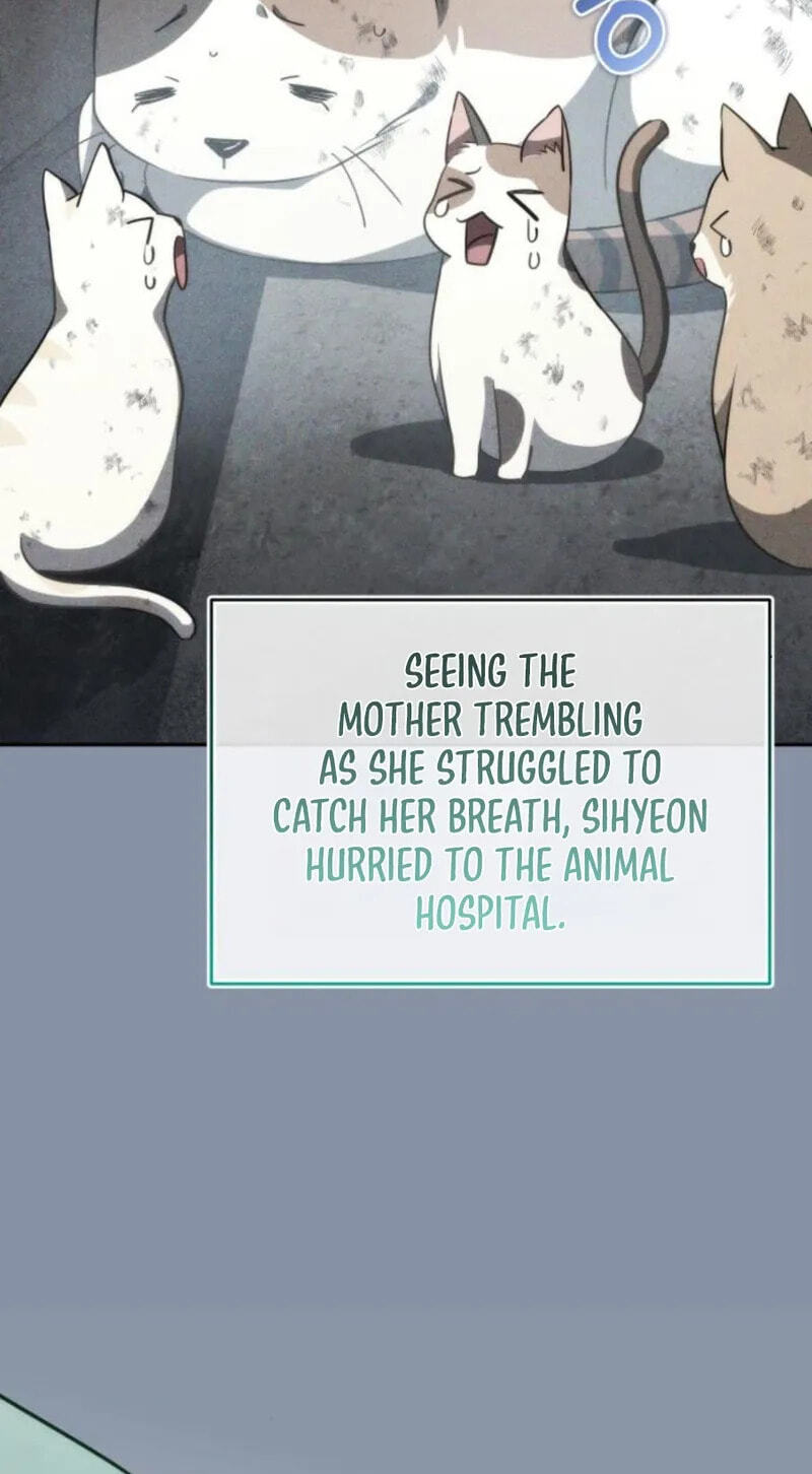 Deubeulli-wa Healinghamnida Chapter 15 page 8 - 