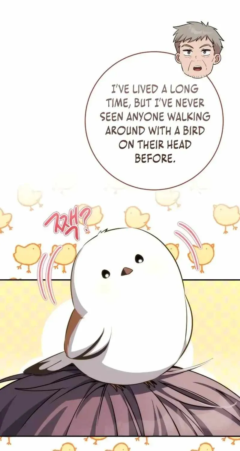 Devely’s Healing Time Chapter 5 page 8 - 