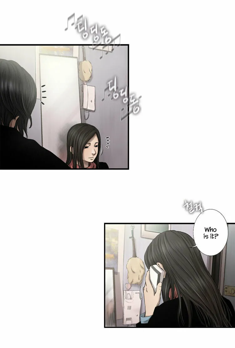Diamond Dust Chapter 27 page 45 - 