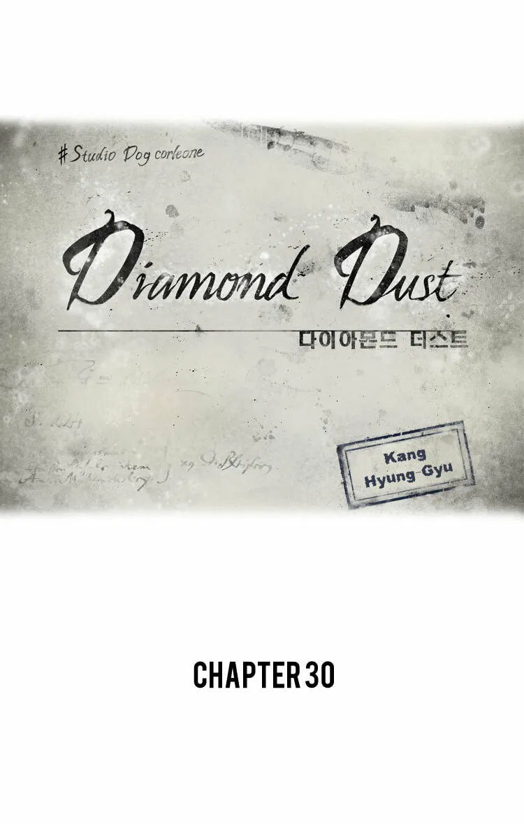 Diamond Dust Chapter 30 page 11 - 