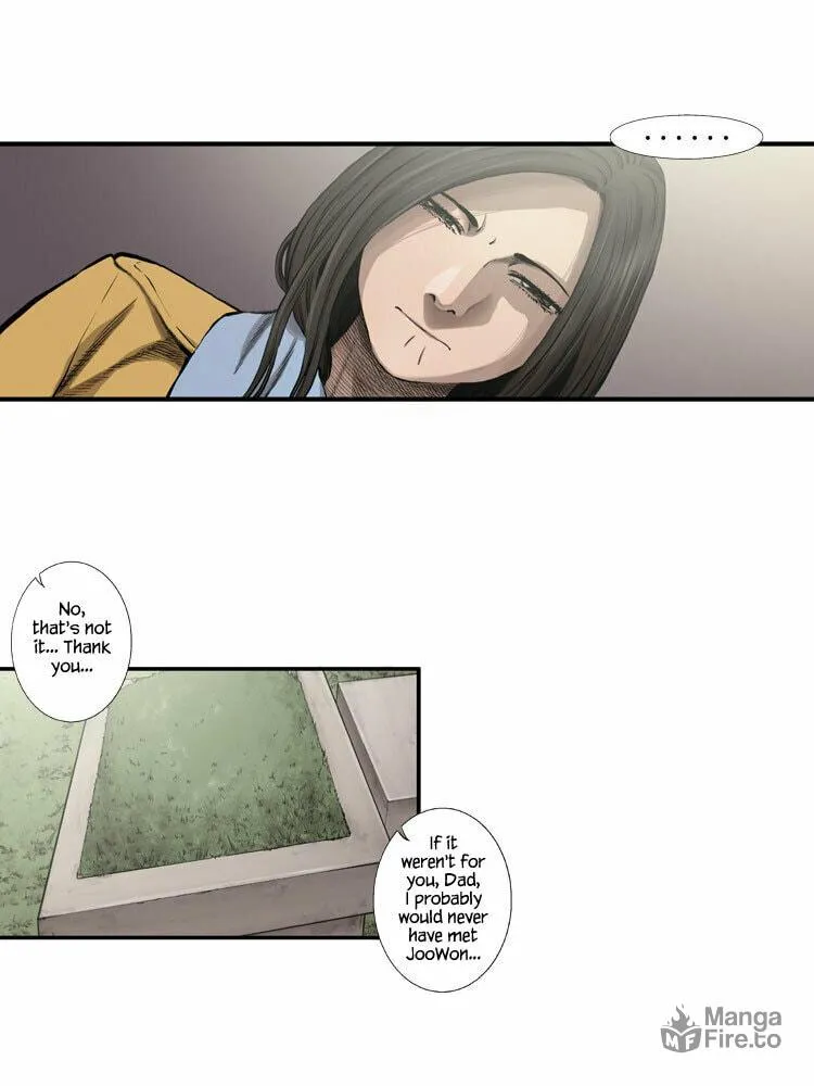 Diamond Dust Chapter 32 page 43 - 