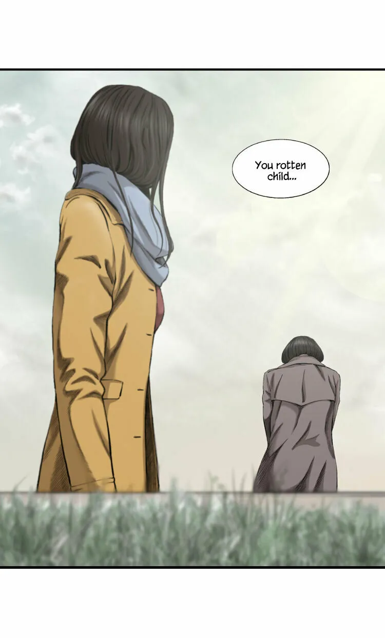 Diamond Dust Chapter 32 page 63 - 