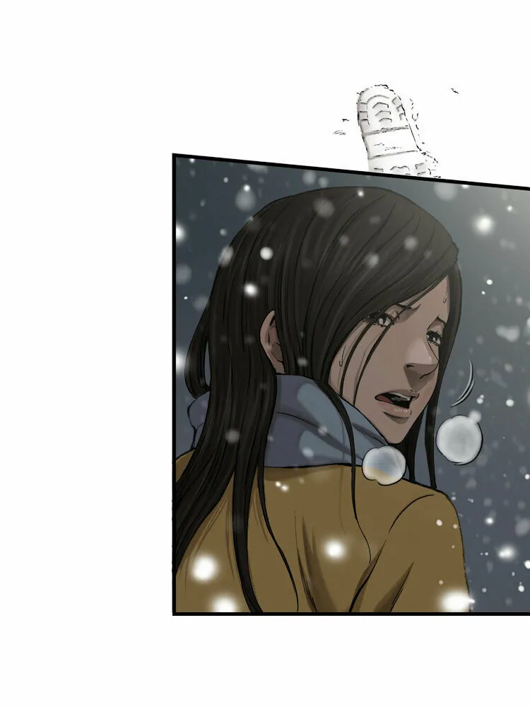 Diamond Dust Chapter 33 page 29 - 
