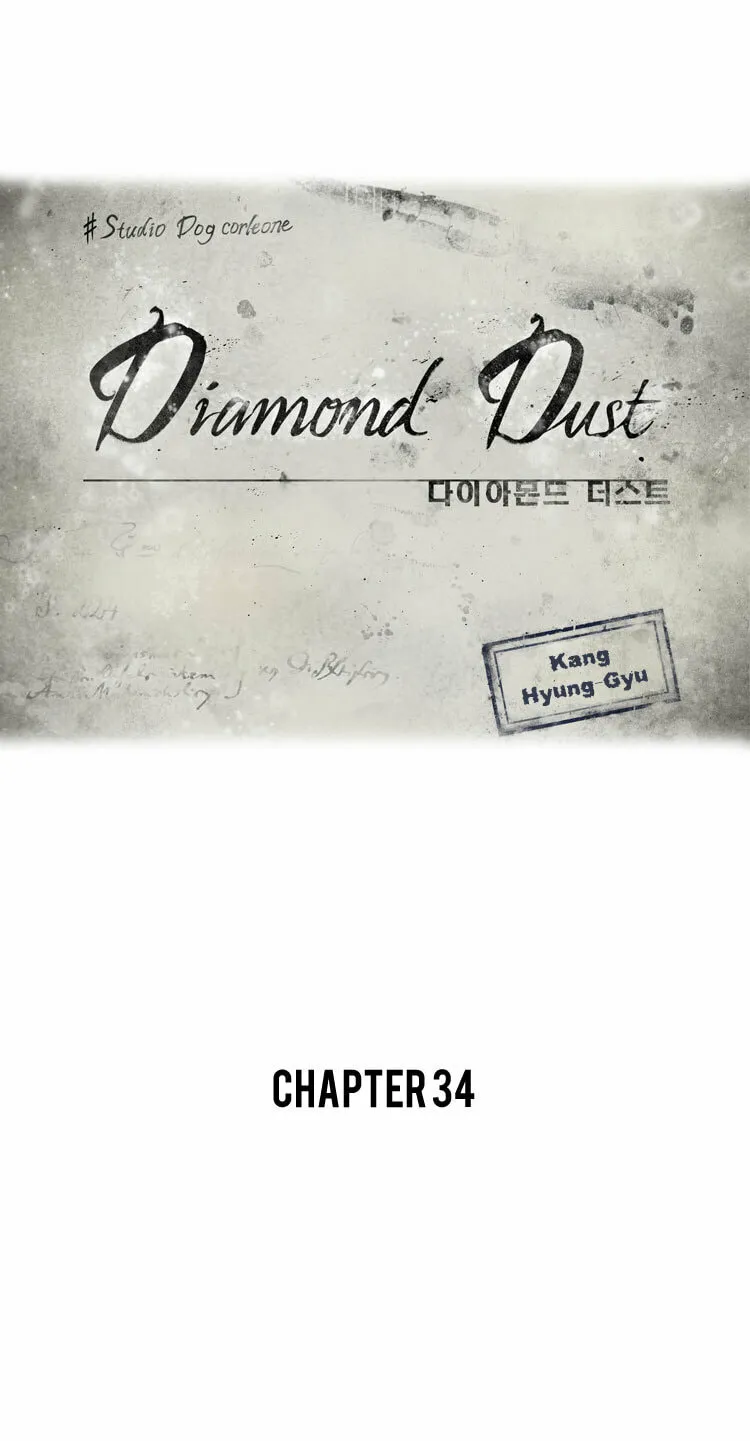 Diamond Dust Chapter 34 page 17 - 