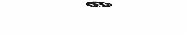 Diamond Dust Chapter 40.5 page 3 - 