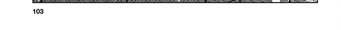 Did You Think You Could Live Normally Even in a World With a 1:5 Male-To-Female Ratio? Chapter 18 page 36 - 