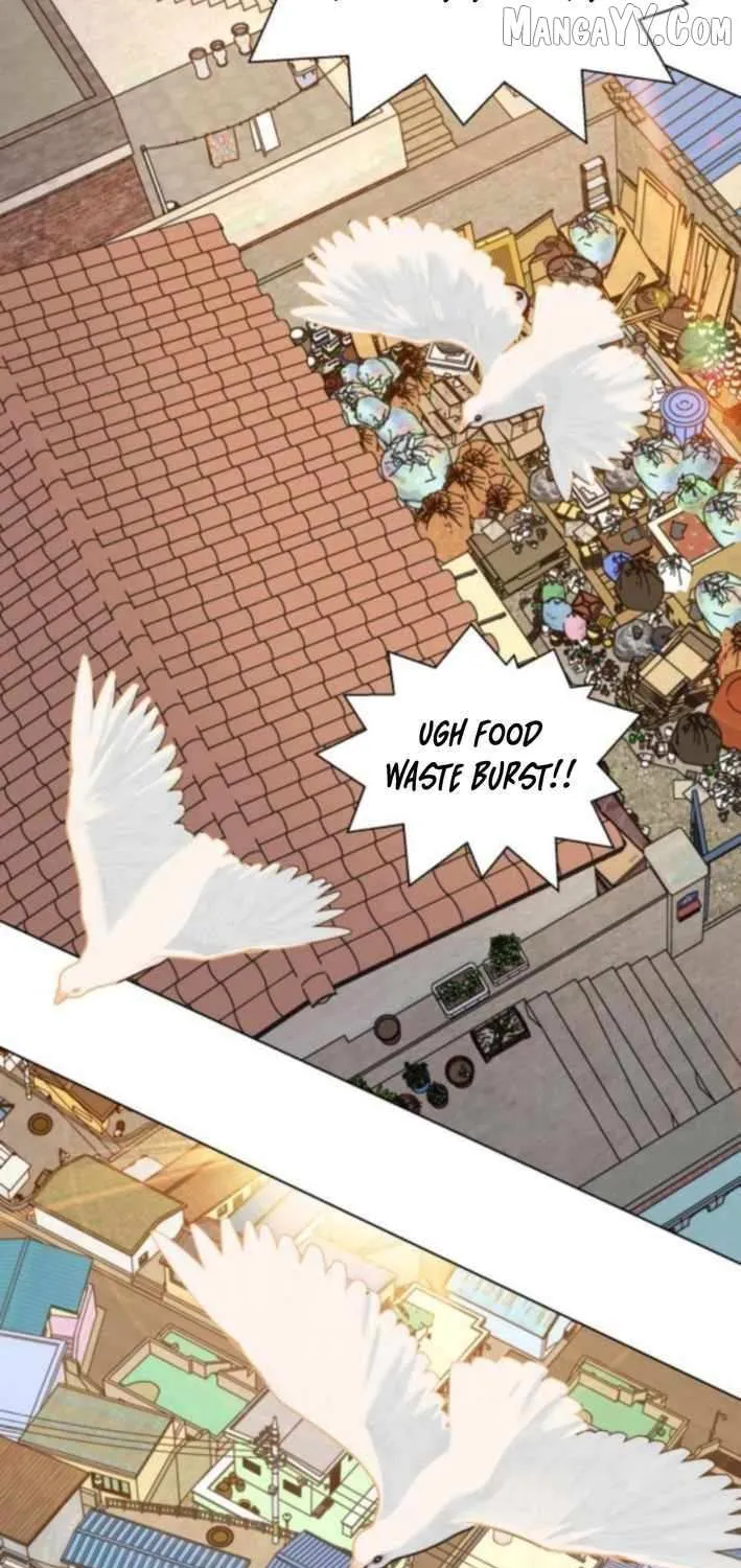 Diet Warrior Chapter 16 page 51 - 