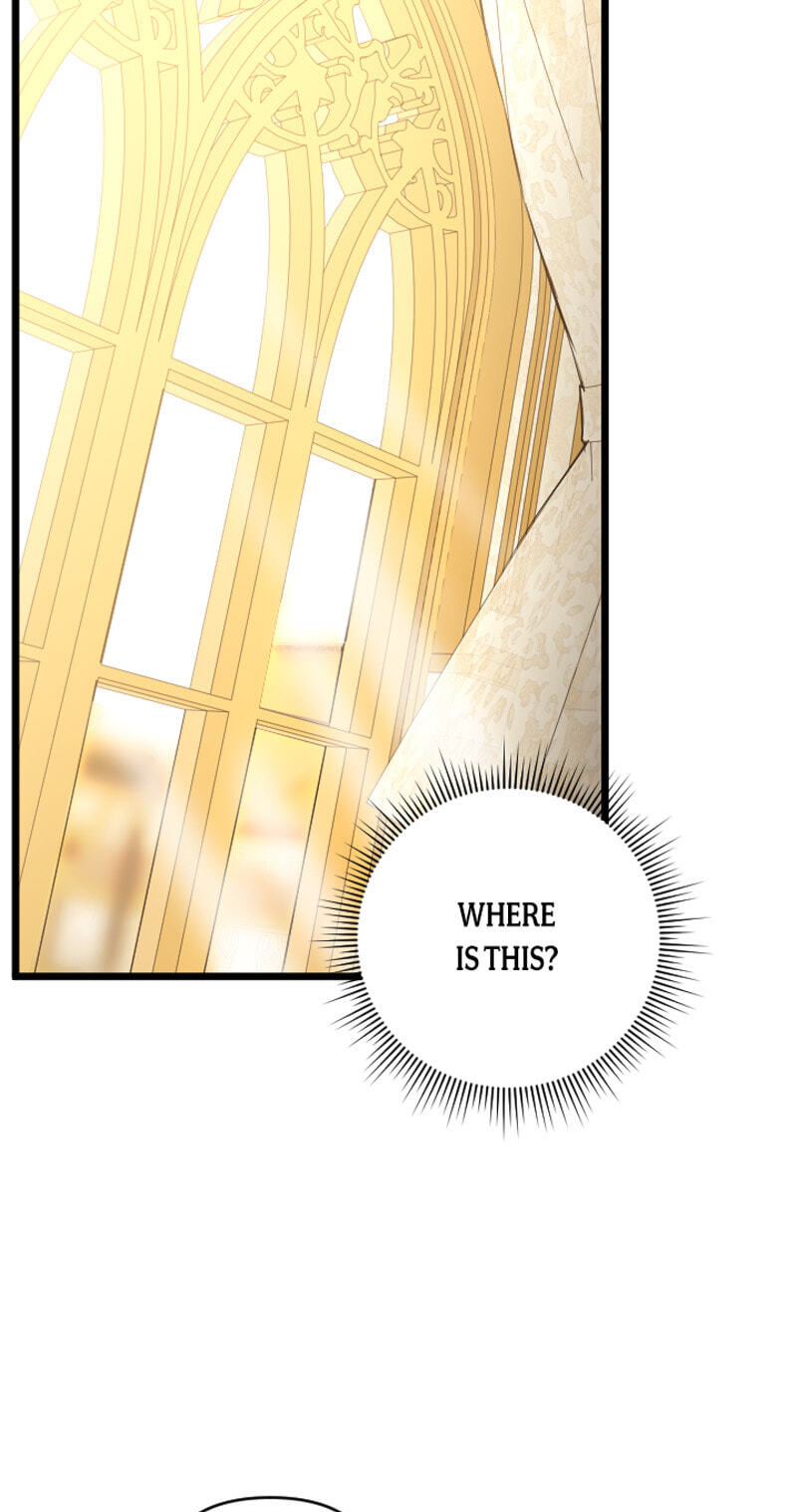 Different Eye-Level Chapter 41 page 13 - 