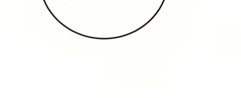 Director Kim Chapter 31 page 212 - 