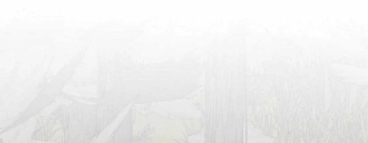 Distorted Soul Chapter 6 page 49 - 